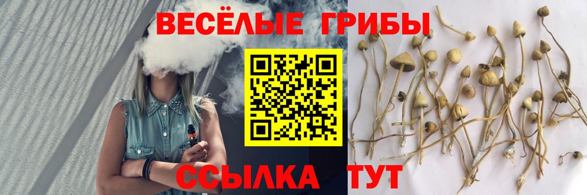 Псилоцибиновые грибы GOLDEN TEACHER Тимашёвск