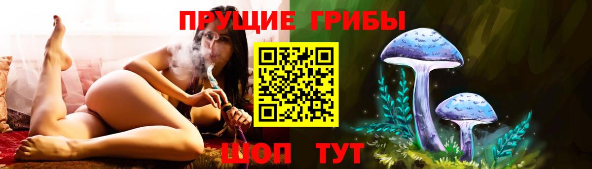 купить   Вход с VPN  Тимашёвск  Галлюциногенные грибы Psilocybe 